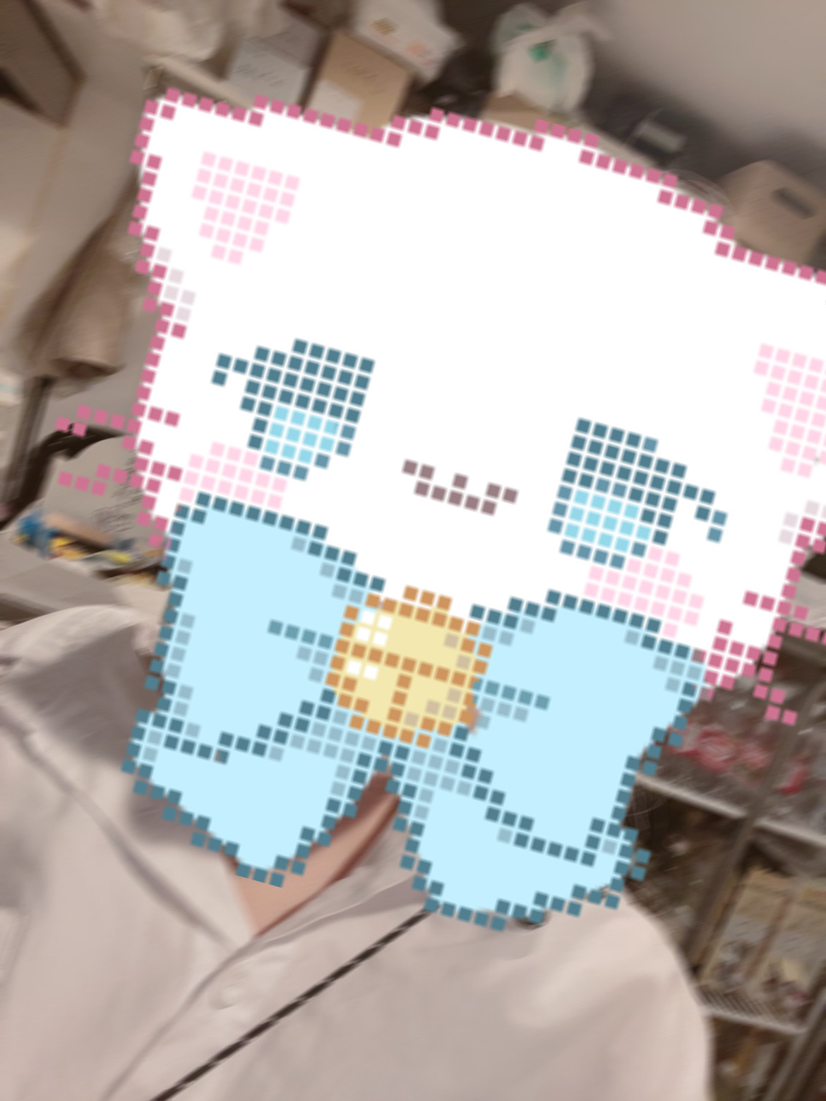 (248KB)